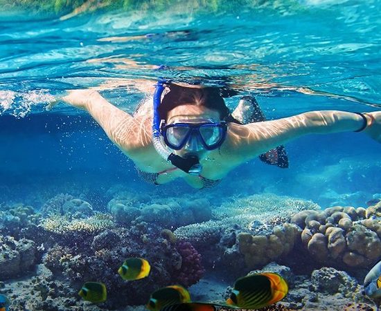 DIVING & SNORKELLING